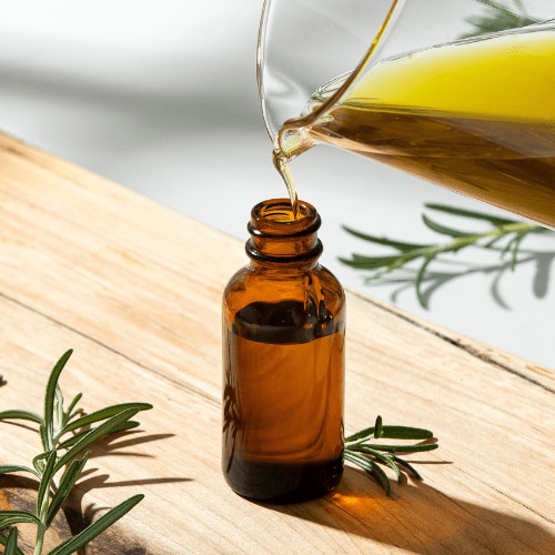 Rosemary Oil: Why Everyone’s Obsessed with Its Hair Growth Benefits