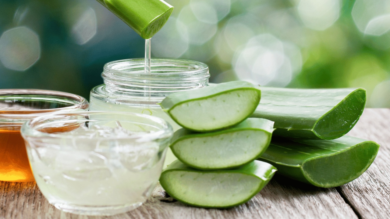 Aloe-vera-hair-mask