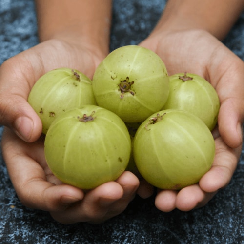 Know how to use Amla for hair growth and shine