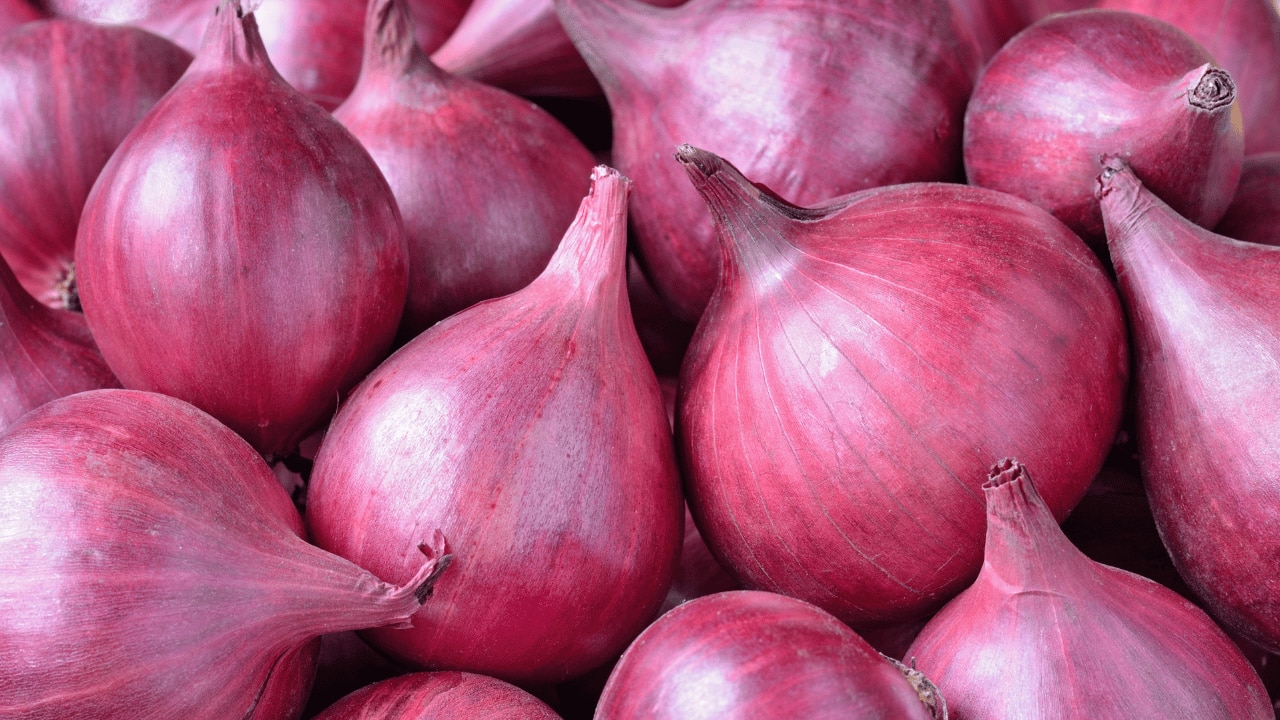 Onion