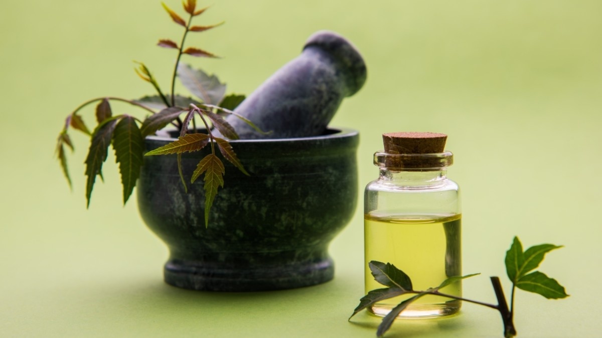 Benefits of neem leaves for hair