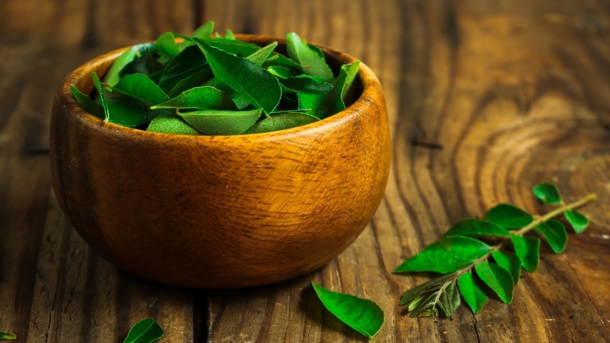 FAQ on benefits of neem leaves