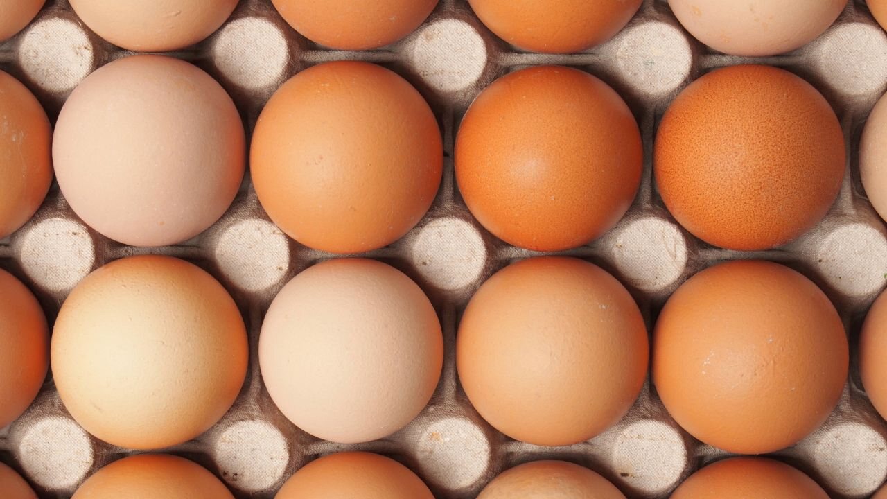 Egg nutritional benefits