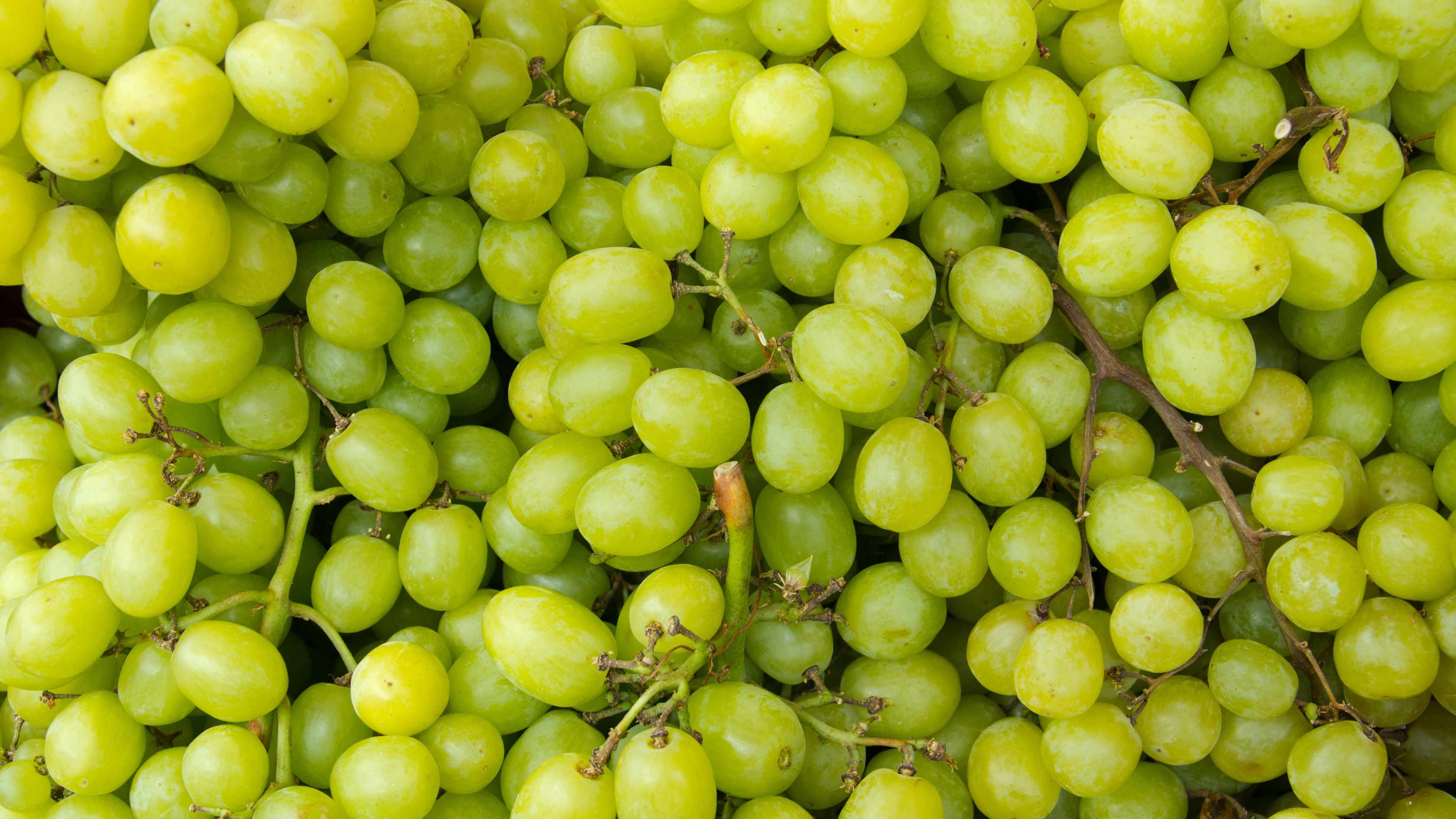 Grapes