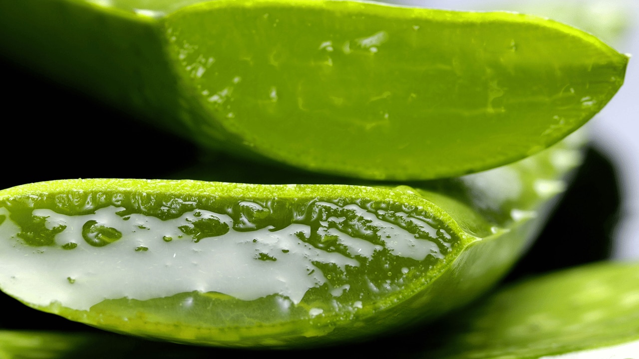 DIY aloe vera and carrot seed oil face mask