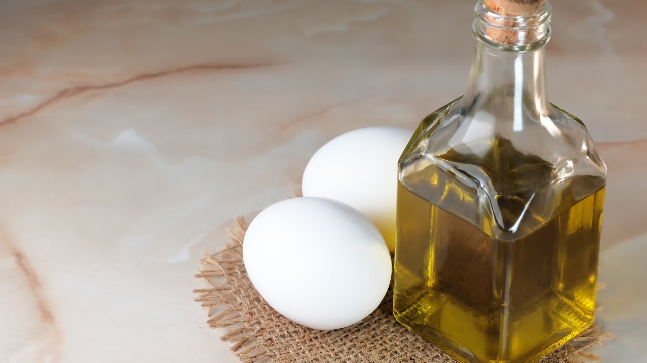 Eggs and Olive Oil Conditioner