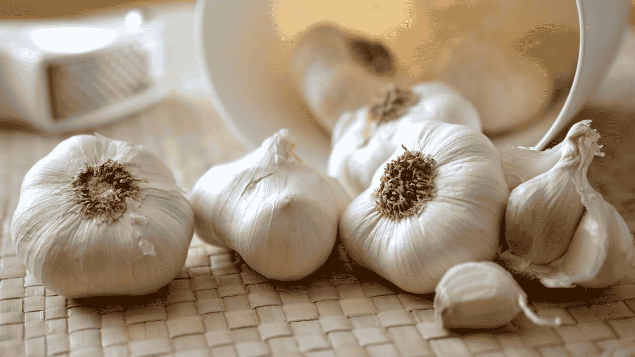 Garlic