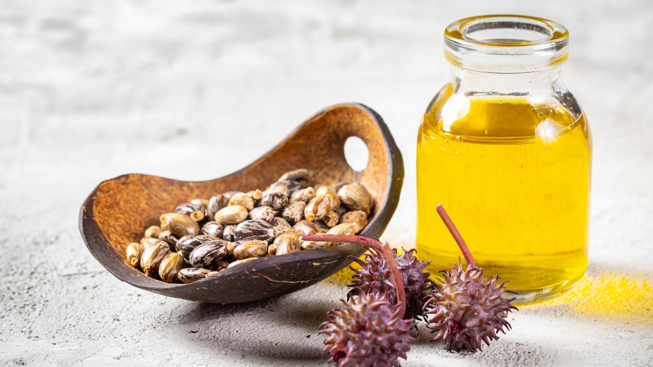 Kalonji and castor oil for hair growth