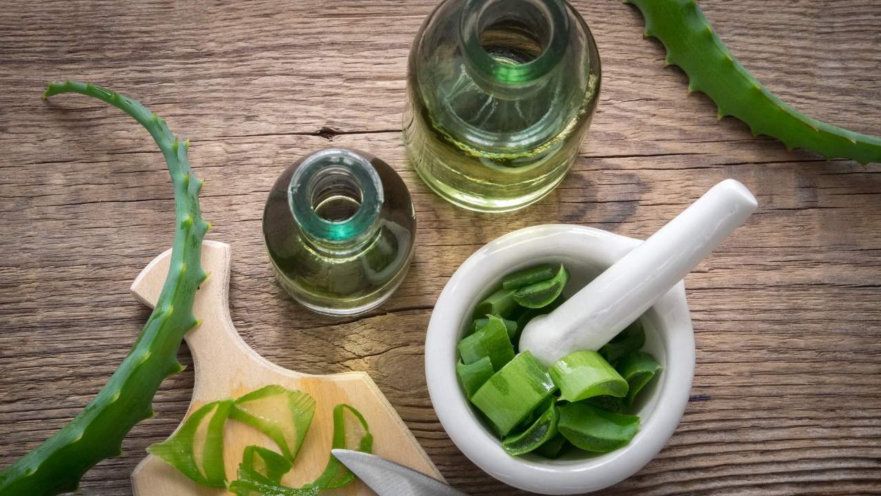 aloe vera for hair