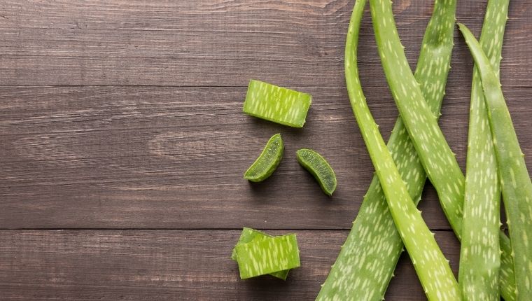 Aloe vera