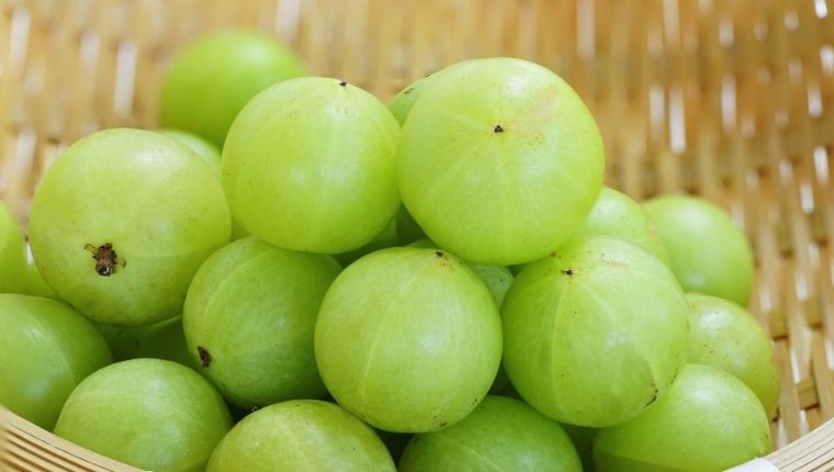 Amla