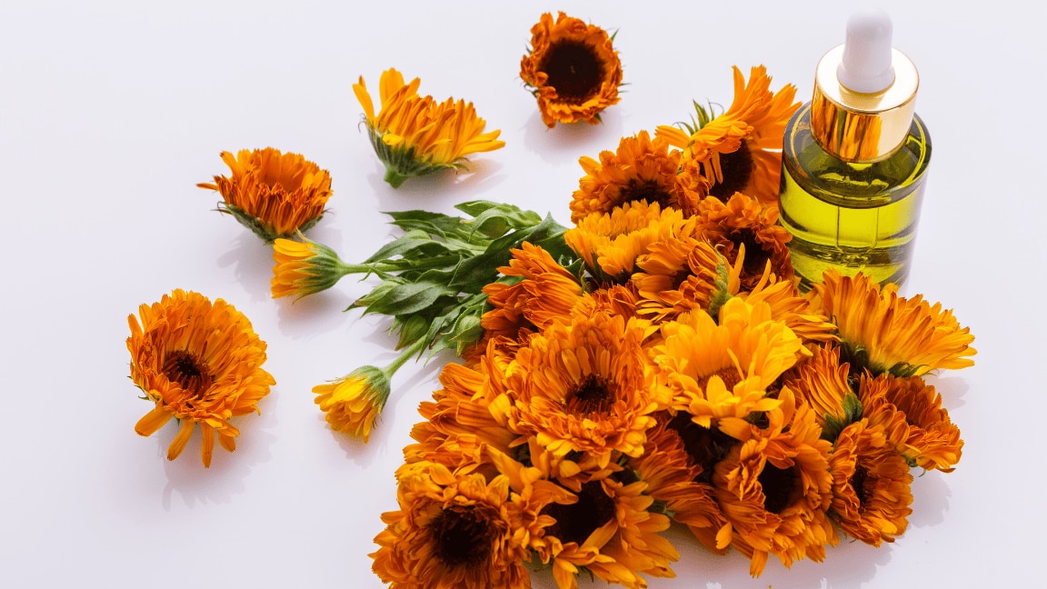 Jaborandi Hair Oil Is The Hero Product That Your Hair Needs: Jaborandi Hair Oil Benefits