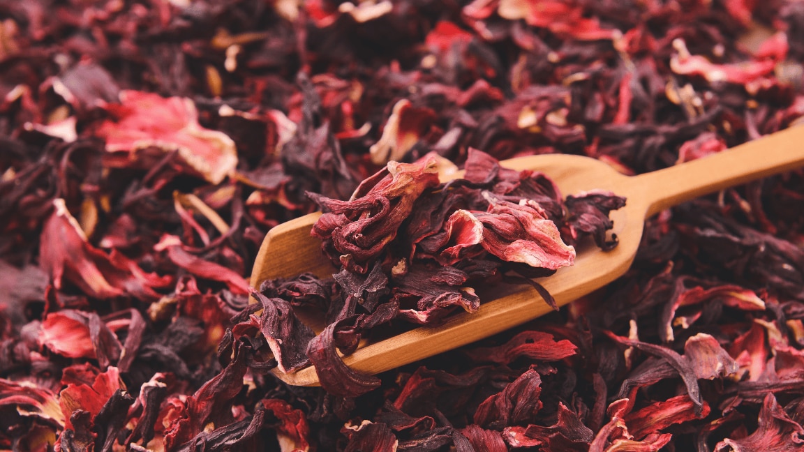 hibiscus