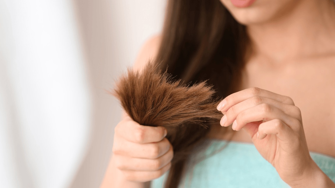 Which Oil Is Best For Split Ends Treatment: Step-By-Step Guide