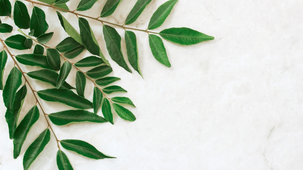 curry leaves for hair growth 