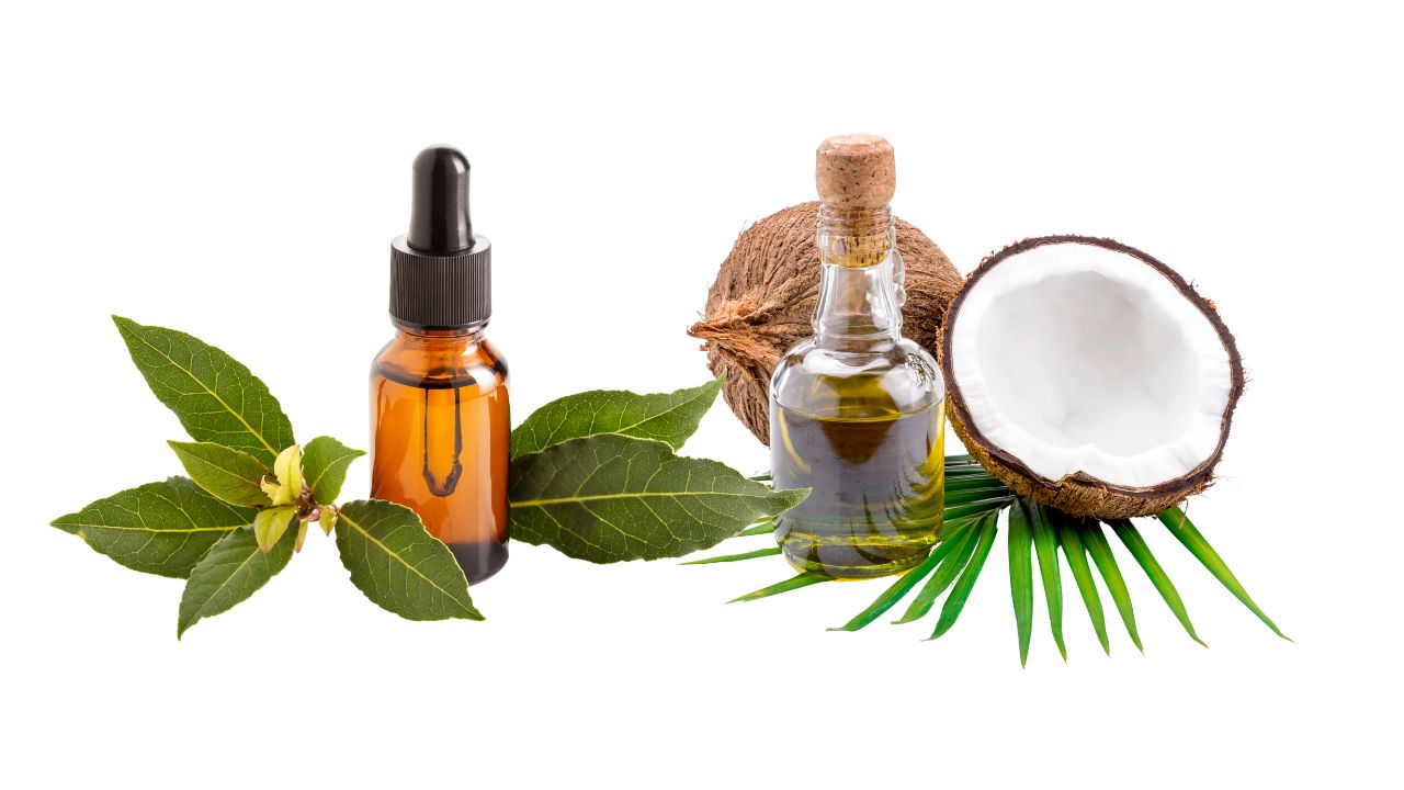 - Tea tree oil + coconut oil