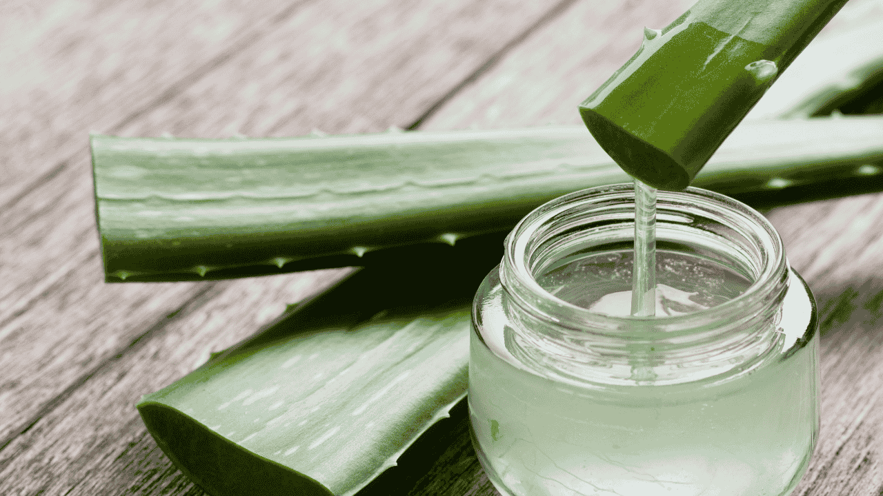 Aloe vera