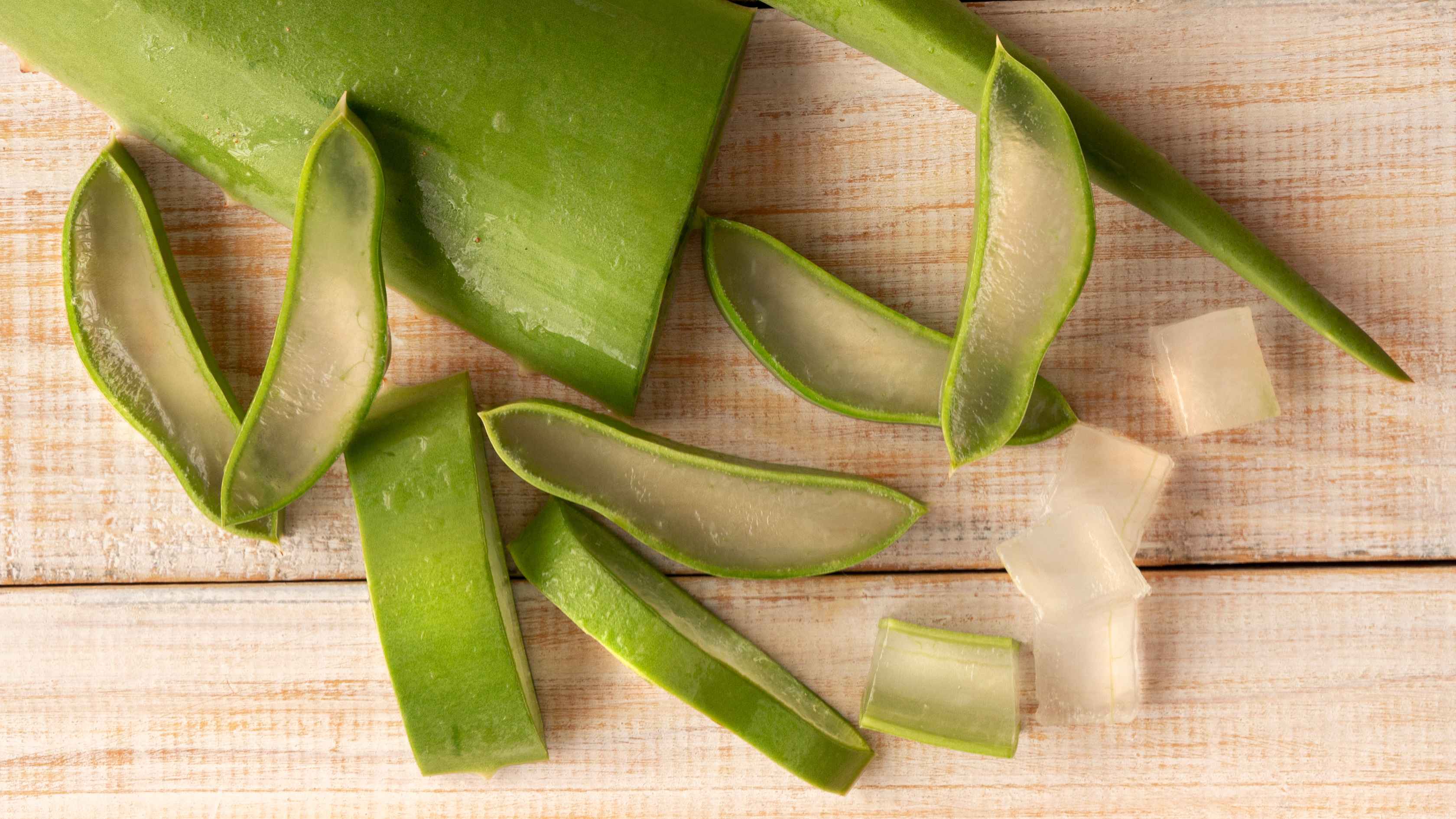 5. Aloe Vera