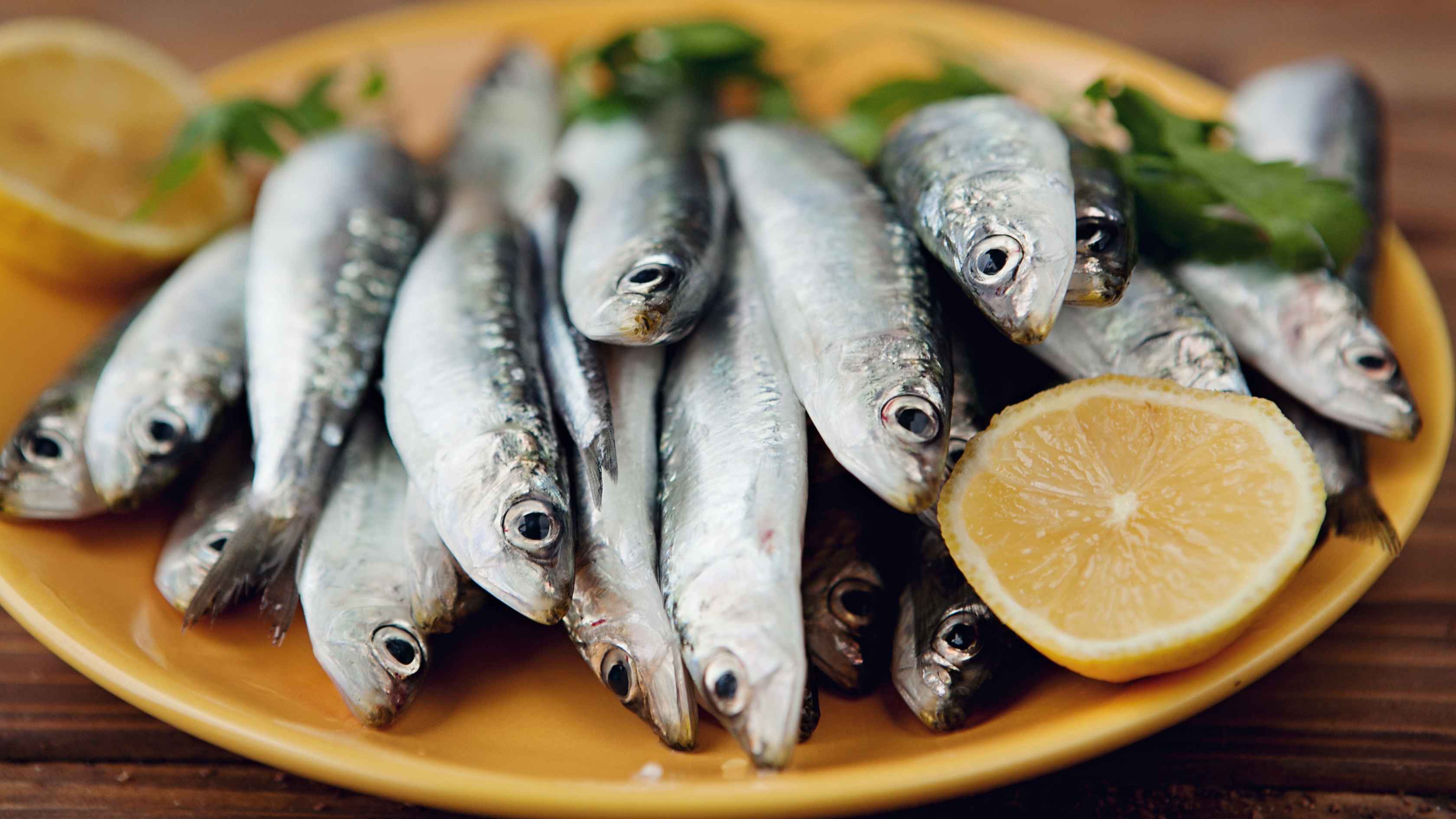 Sardines