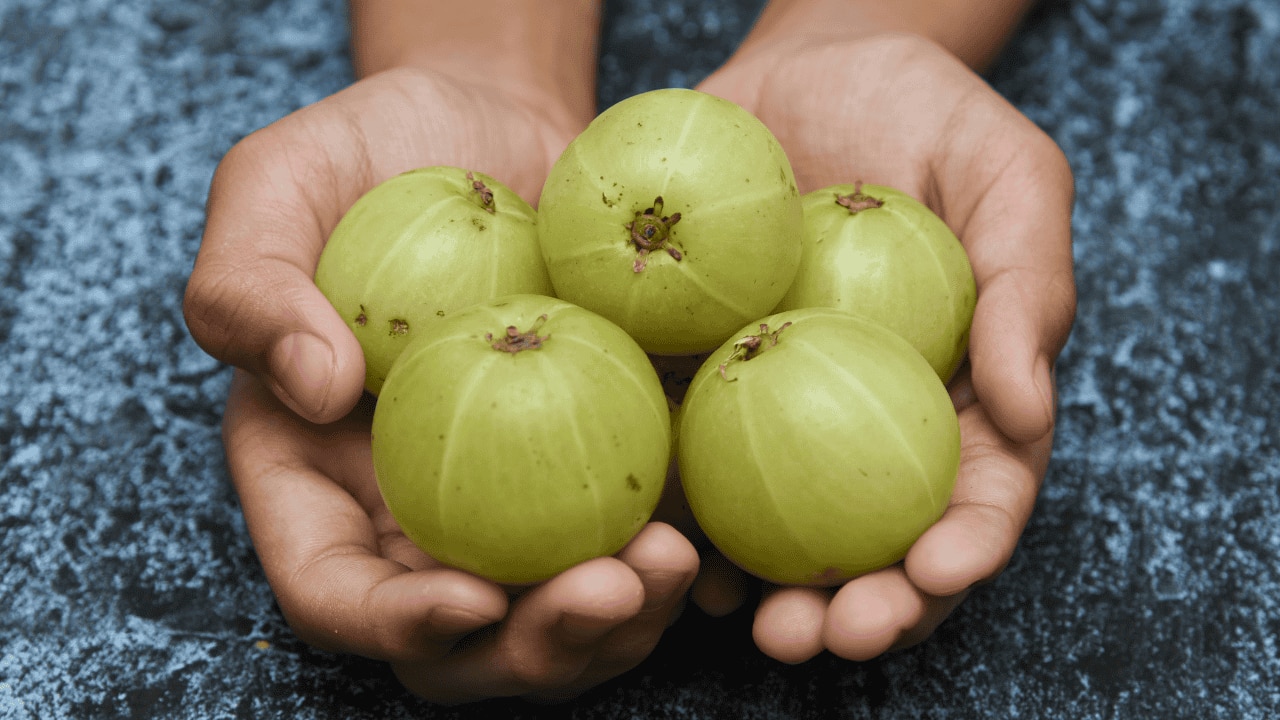 using amla for hair
