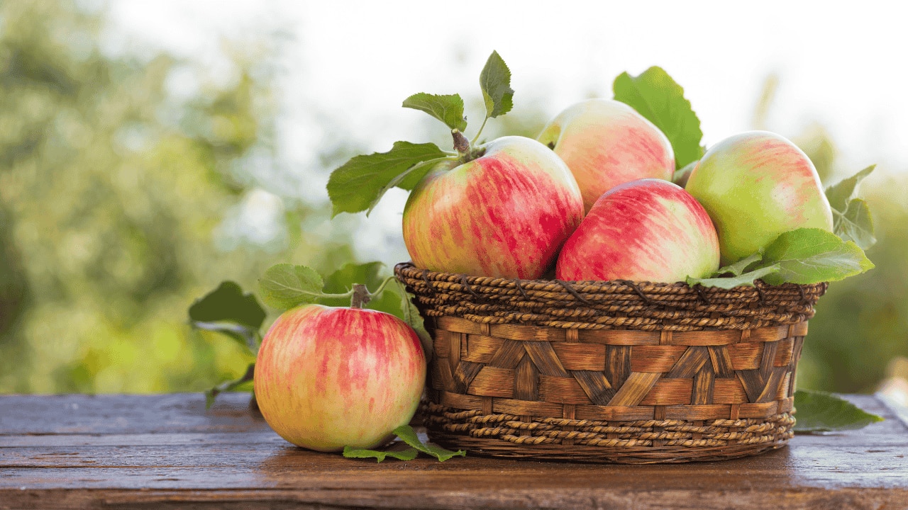 6. Apples