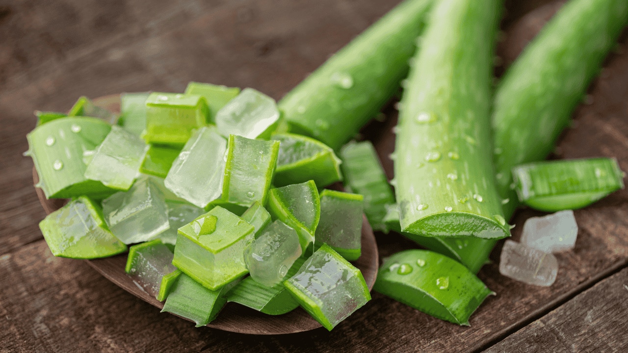 Applying aloe vera