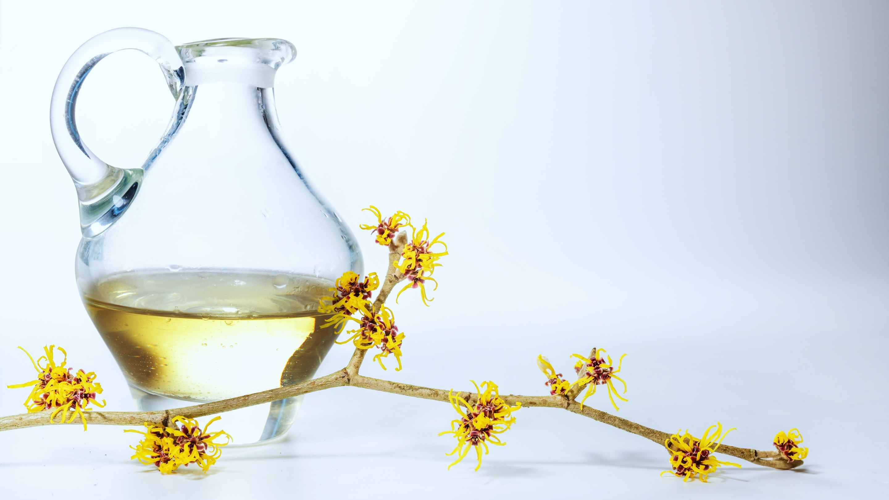 Benefits Of Witch Hazel For Skin: What Are They?