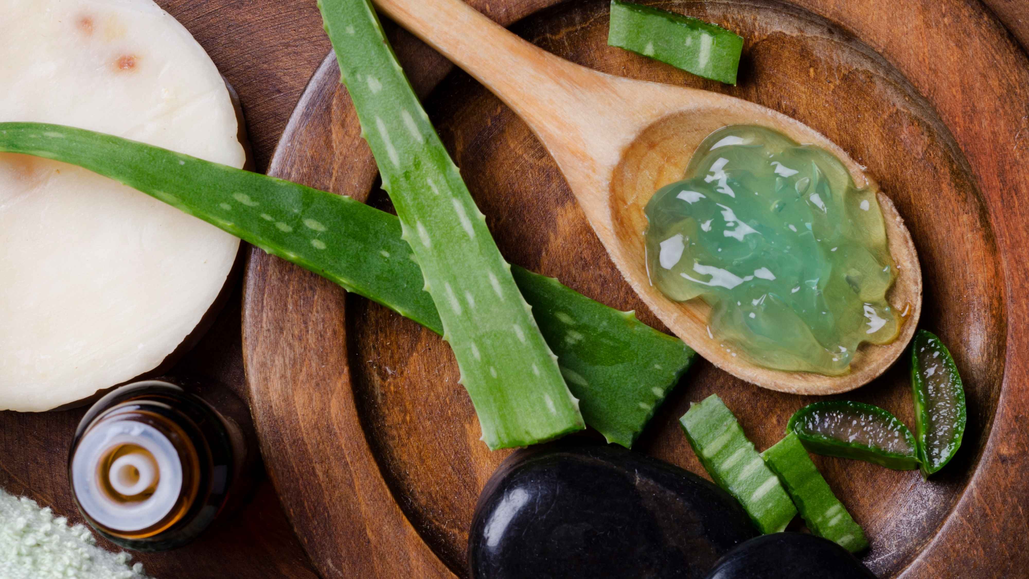 Benefits of Using Aloe Vera for Stretch Marks