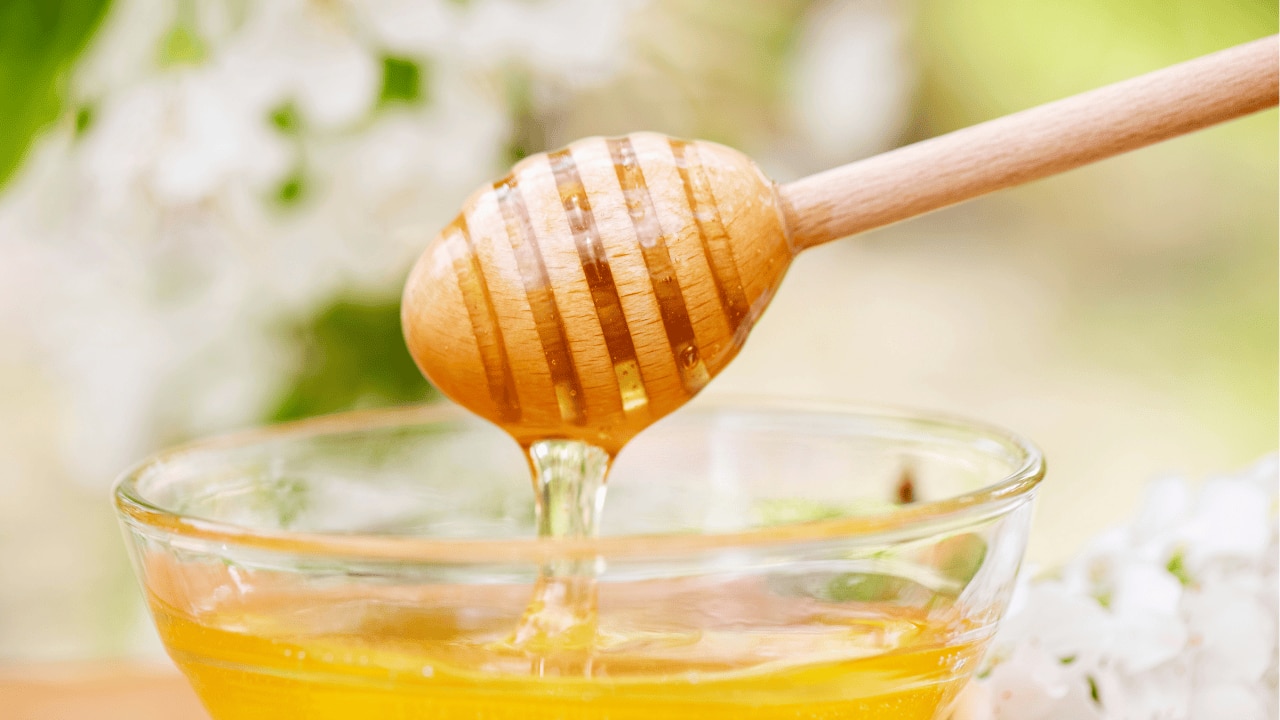 Body Detox