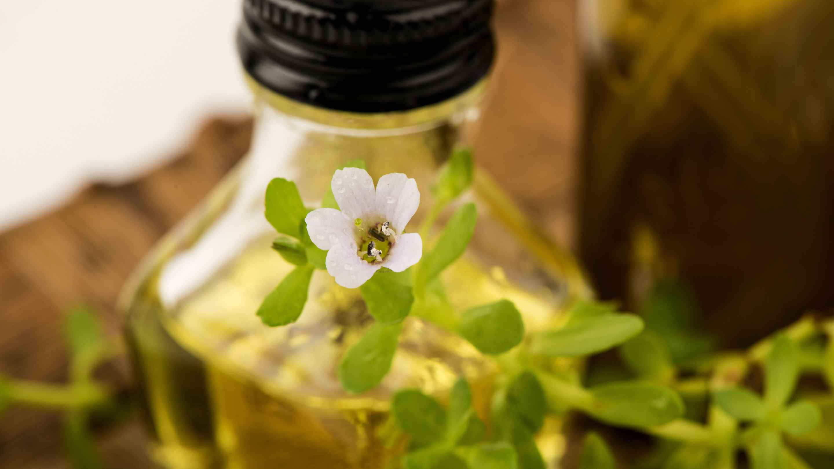 Brahmi Benefits For Hair: Everything You Need To Know: 7 To Try