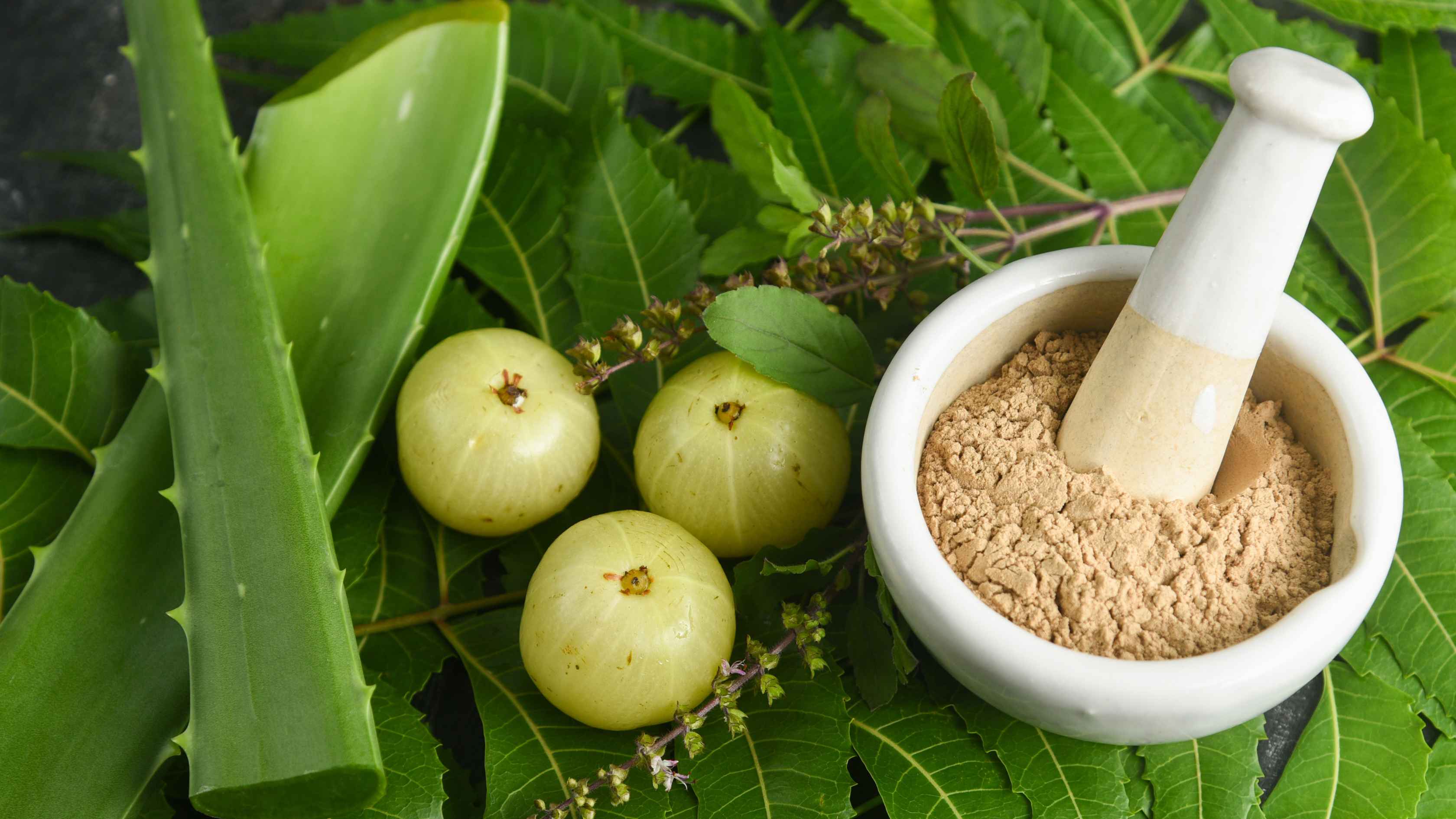 Brahmi, Amla and Neem Hair Pack
