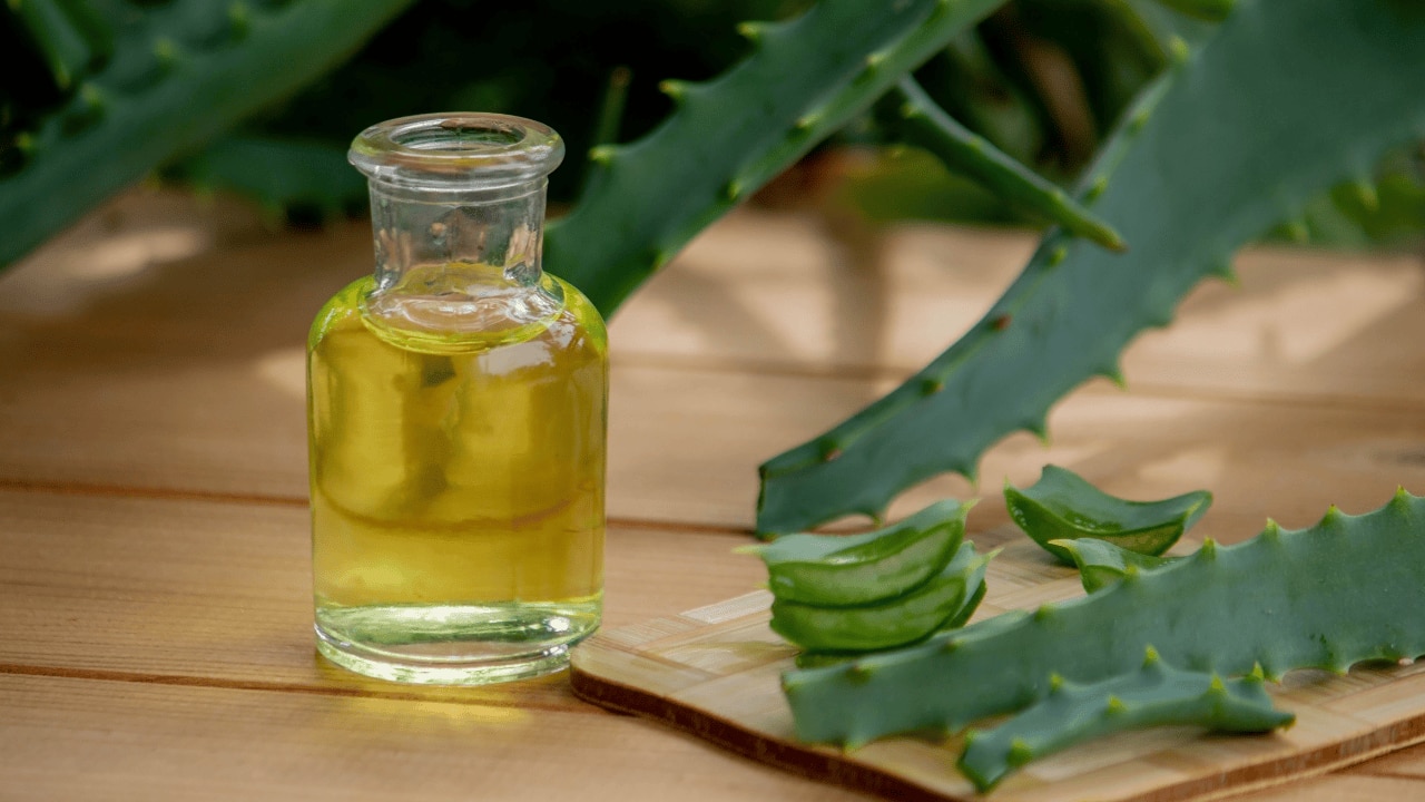 Aloe Vera and Castor Oil