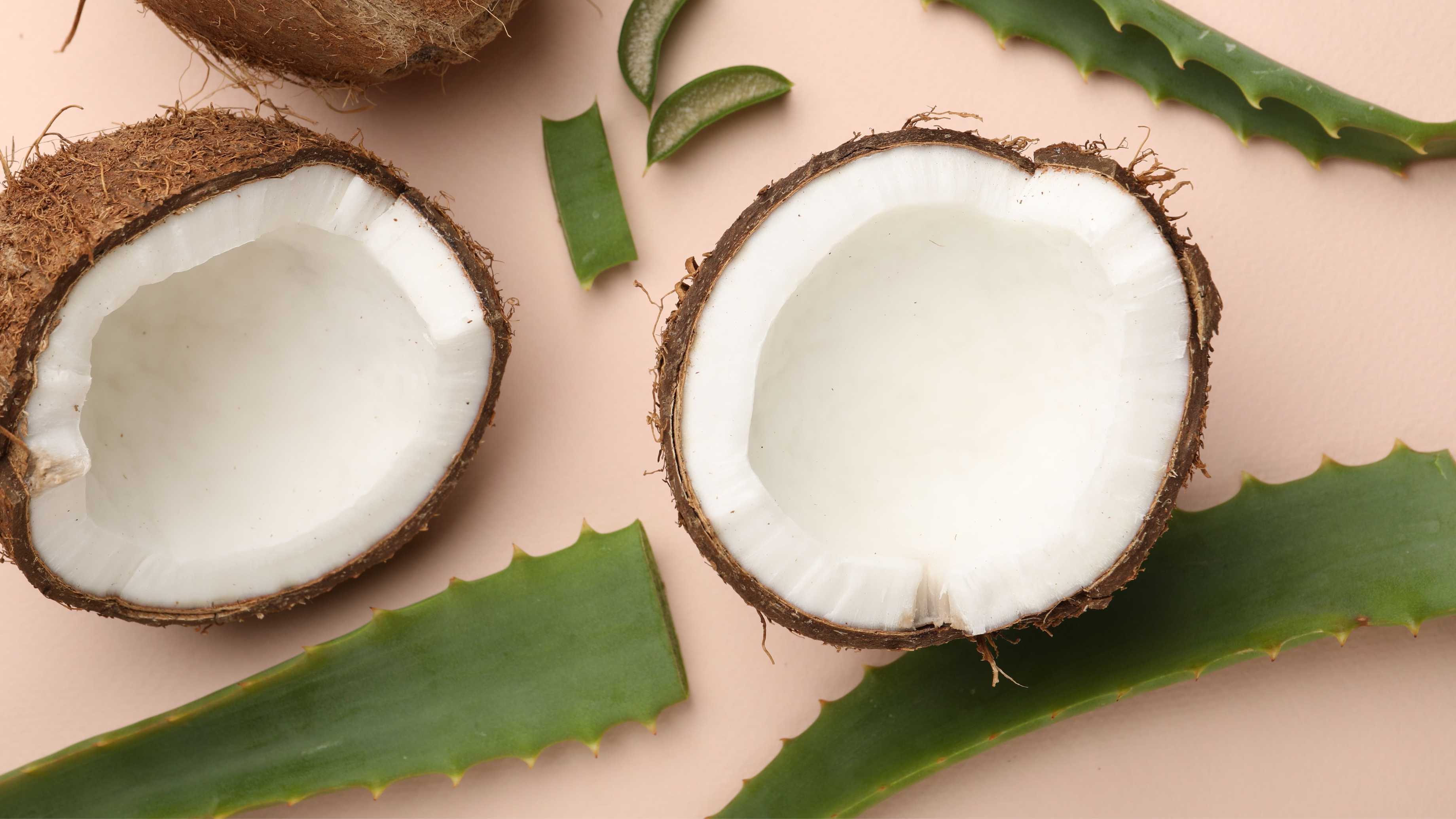 Coconut Oil and Aloe Vera Blend