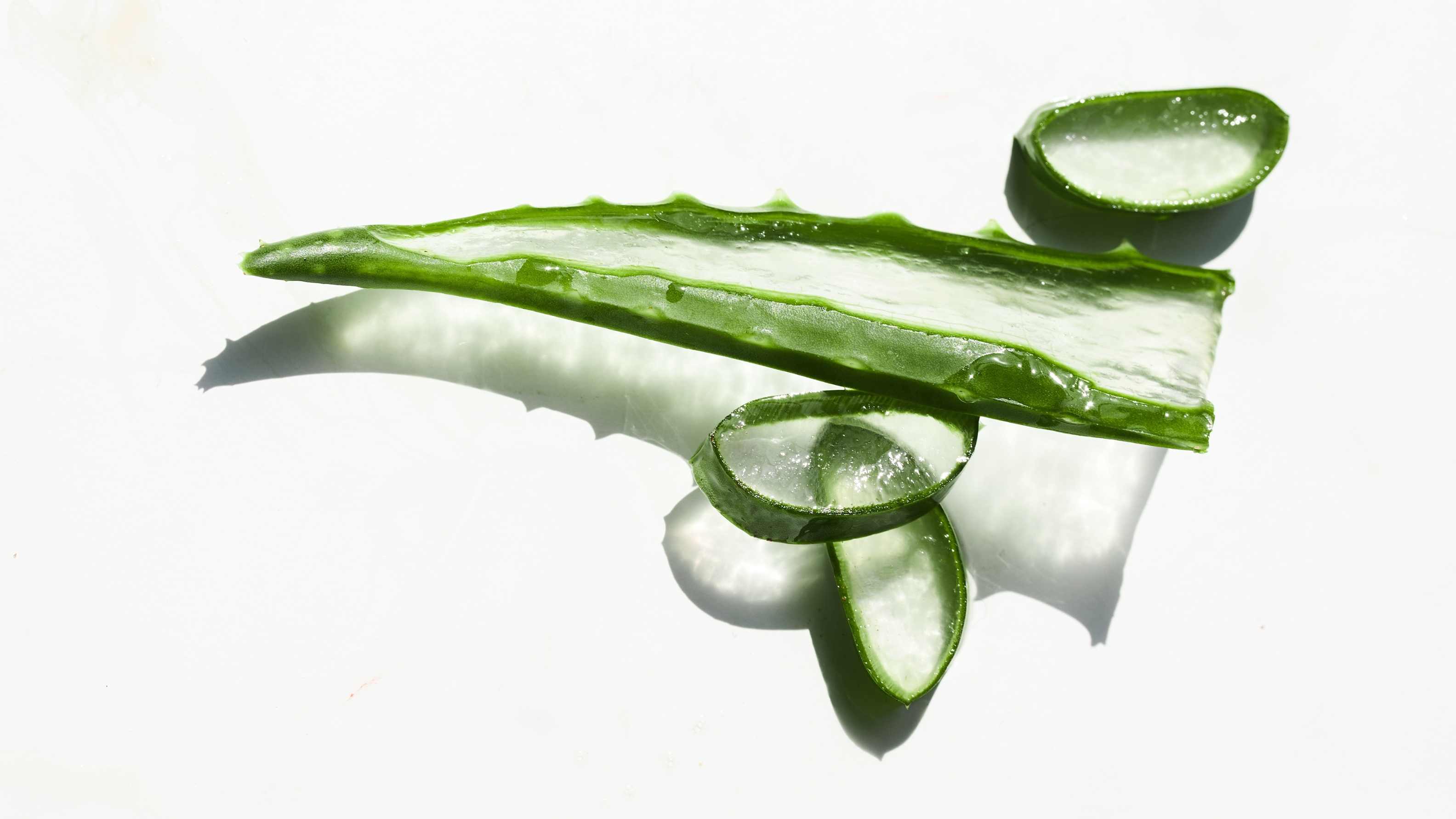 Discover how to use aloe vera for stretch marks