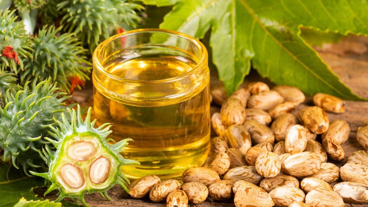 Embracing Thicker Locks: Harnessing Castor Oil for Hair Growth!