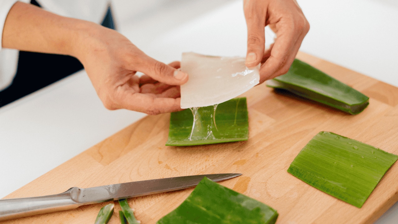 How To Make Aloe Vera Gel At Home