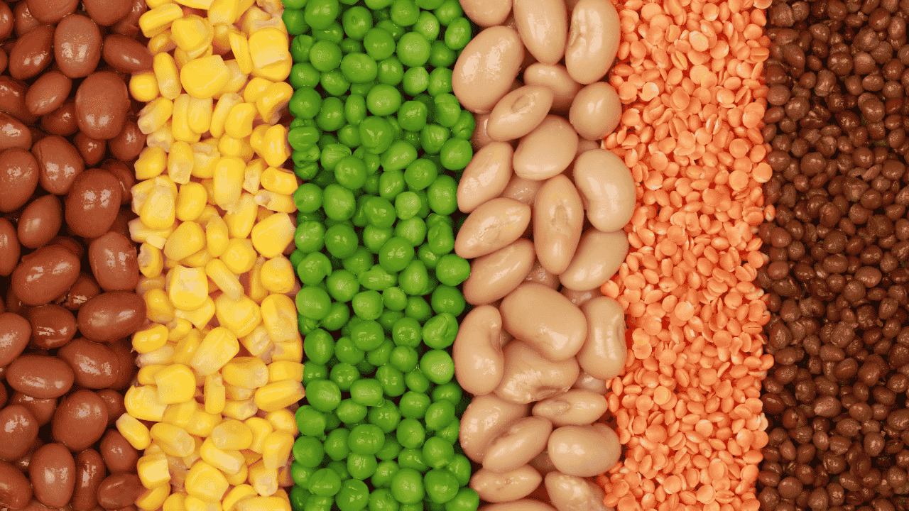 12. Lentils and Pulses