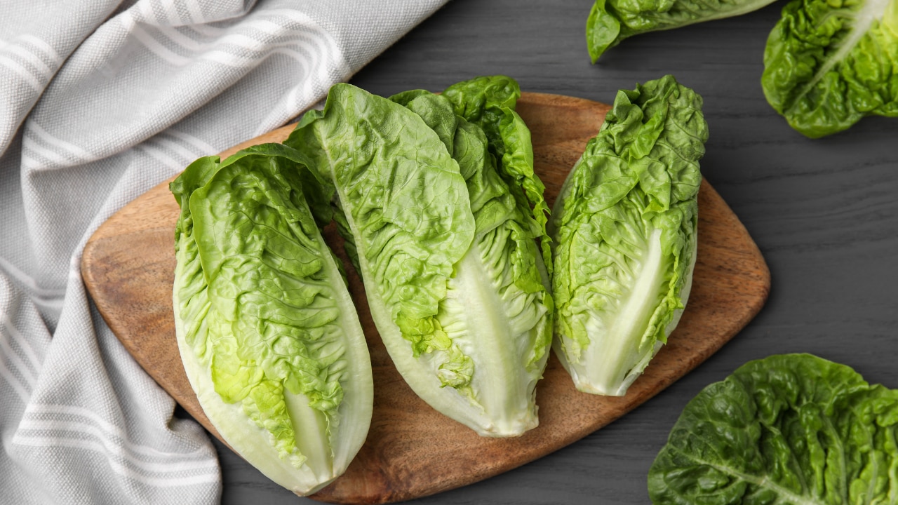 lettuce