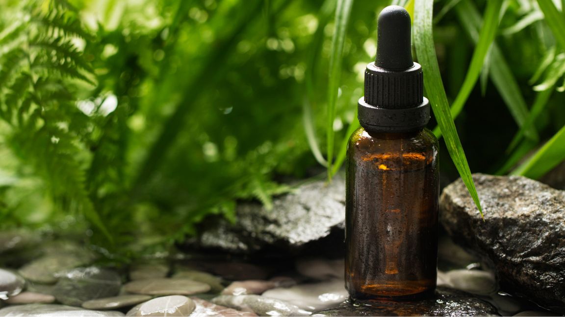 Benefits And Uses Of Tea Tree Oil For Skin