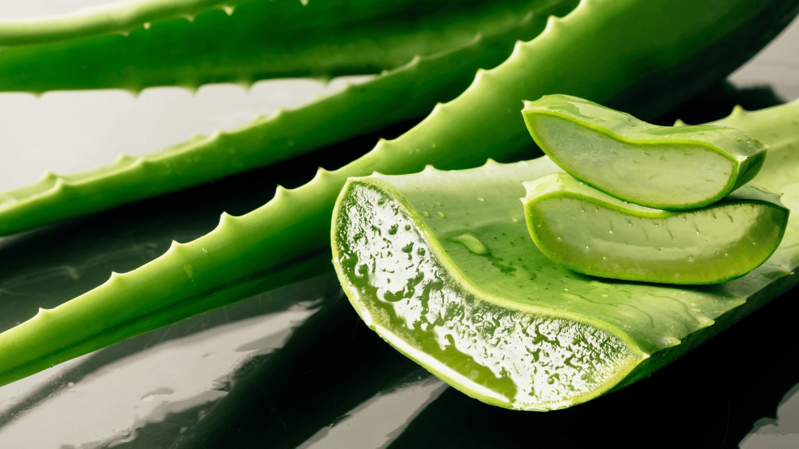 Is Aloe Vera Good For Oily Skin? We Investigate