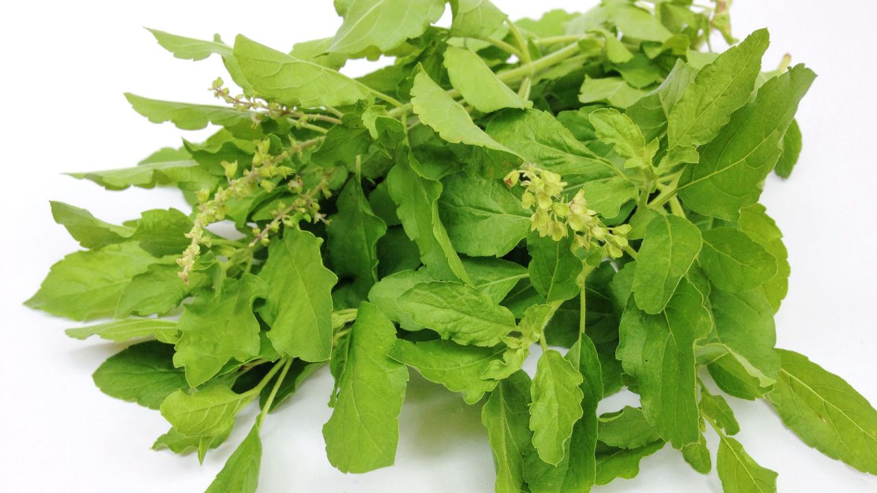 10. Mint and basil pack