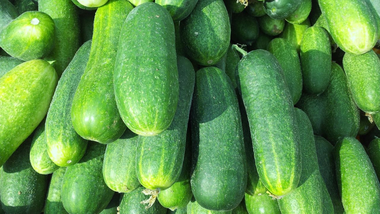 8. Mint and cucumber pack
