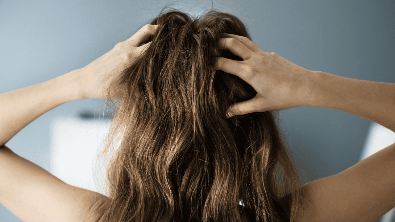 Moisturizes dry hair