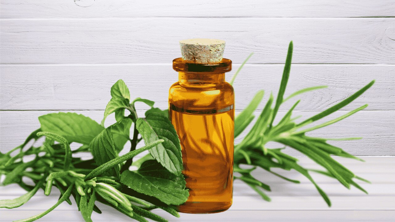 1. Tea tree oil