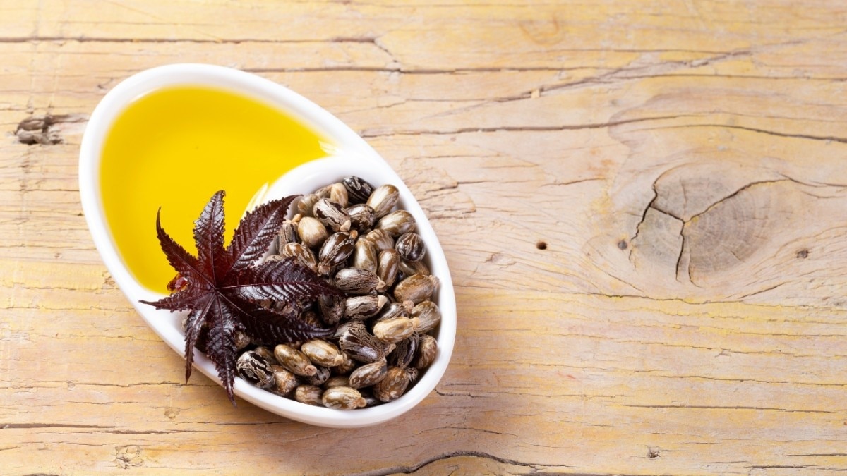Maximizing Results: Tips for Healthy Hair Growth Beyond Castor Oil