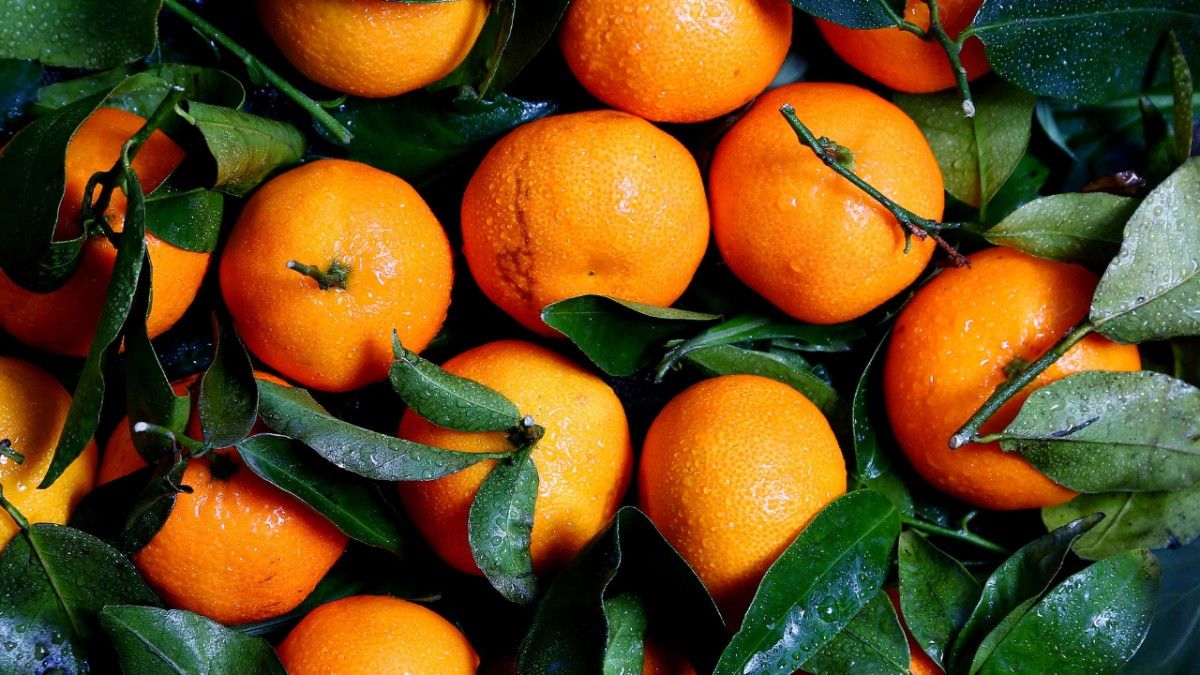 3) What are the different types of oranges?