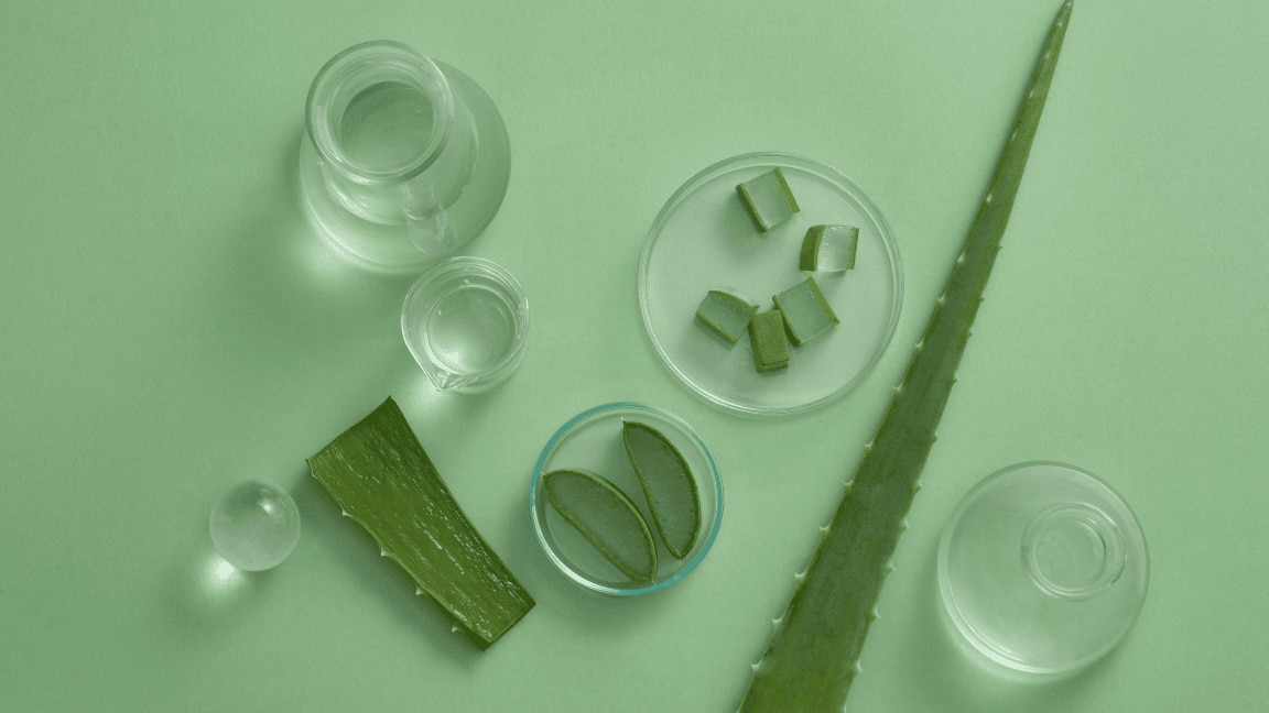 Benefits Of Aloe Vera For Hair And How To Use It In Your Hair Care Routine
