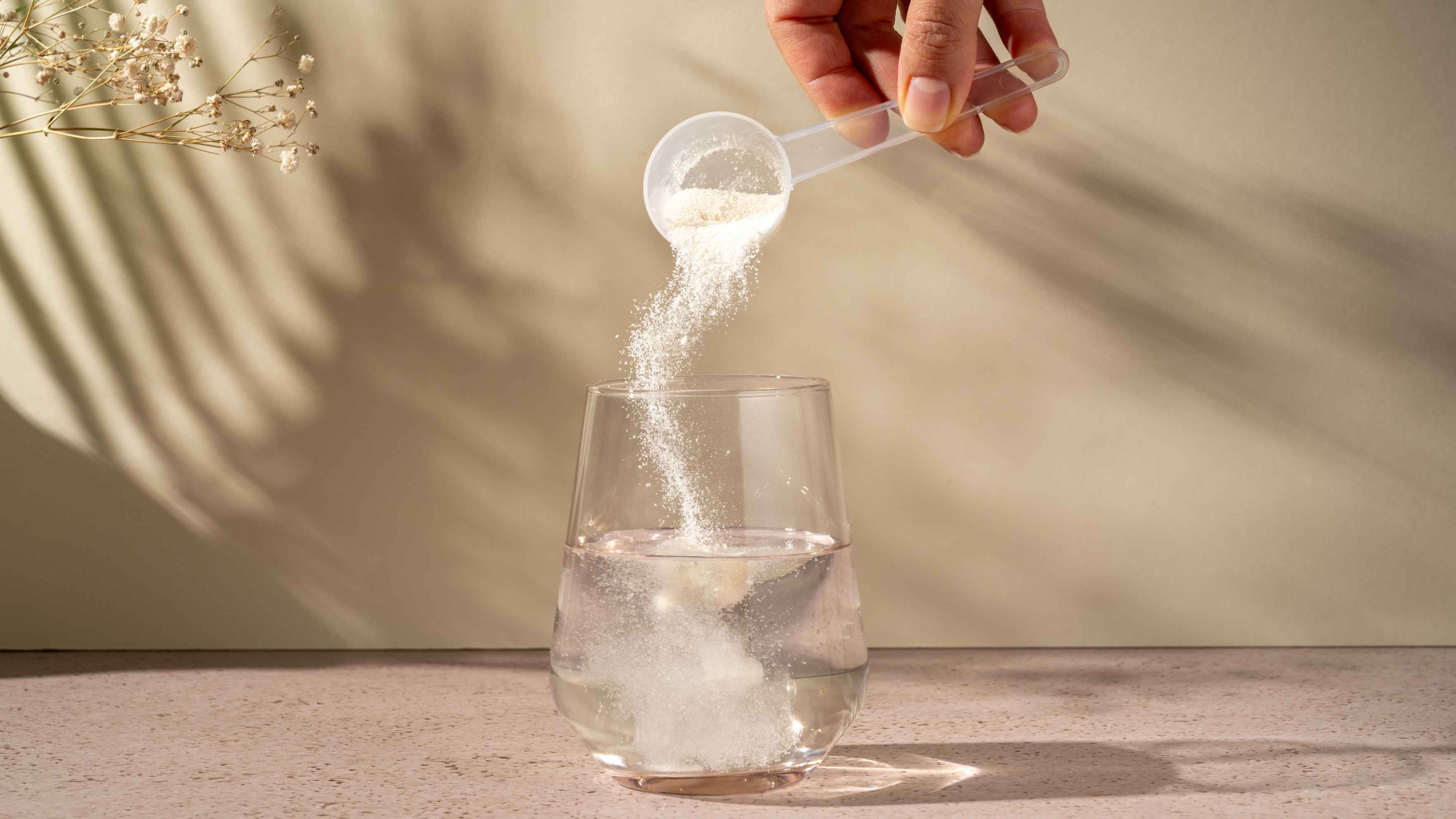 Oral Supplements