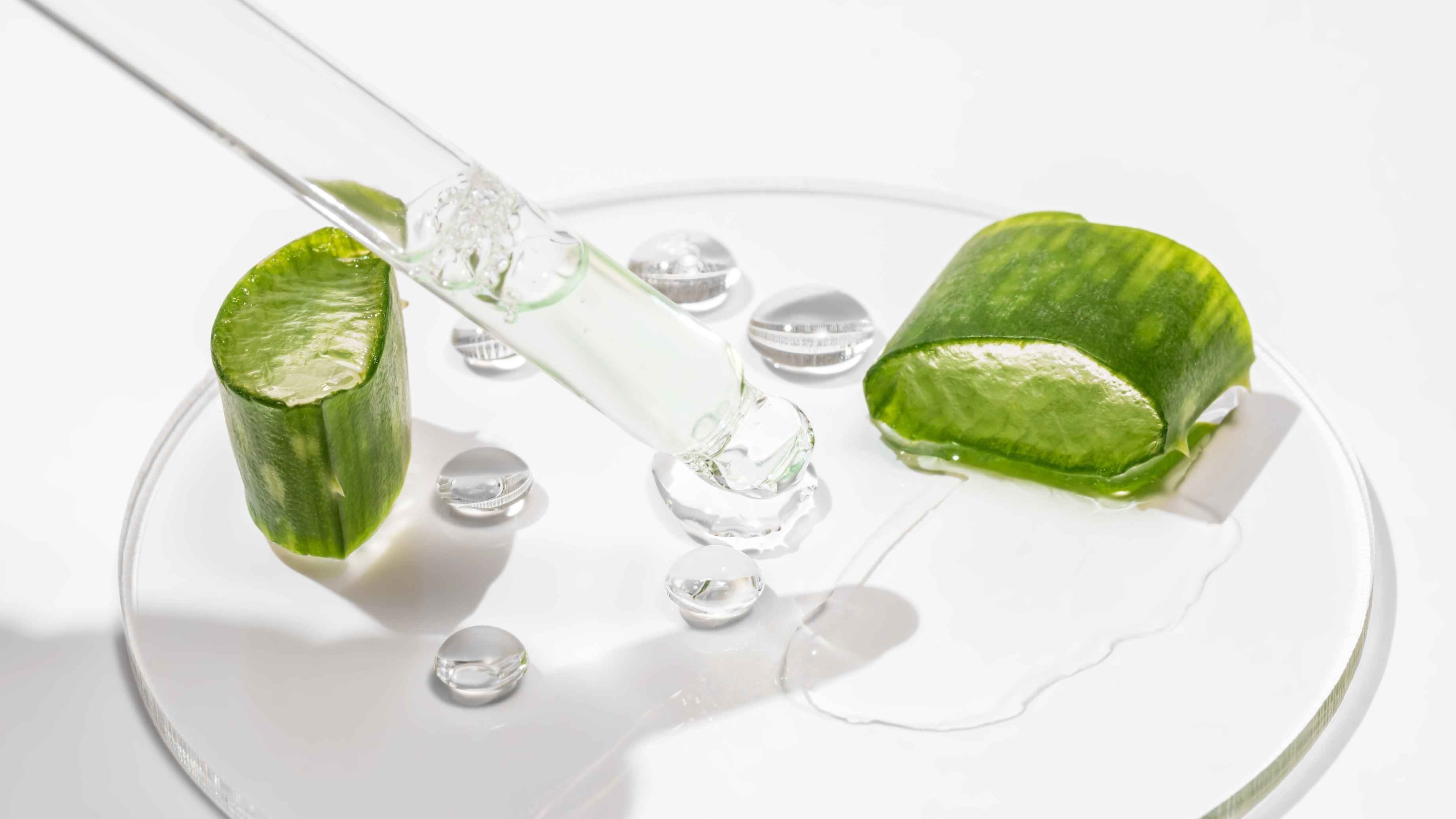 Chamomile & Aloe Serum for Sensitive or Red Skin