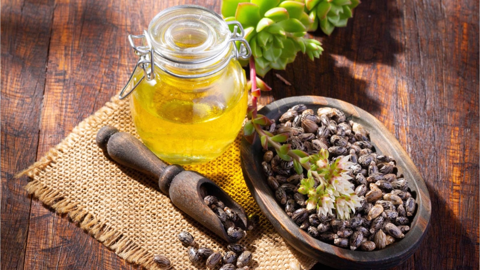 Castor Oil Benefits for Hair